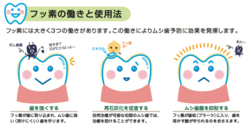 フッ素が歯を強くしむし歯予防に役立つ仕組みを説明した図